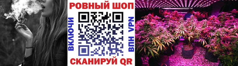 Наркота Щигры A PVP  Амфетамин  Меф  Гашиш  КОКАИН 