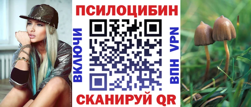 даркнет сайт Щигры mega ONION Псилоцибиновые грибы прущие грибы